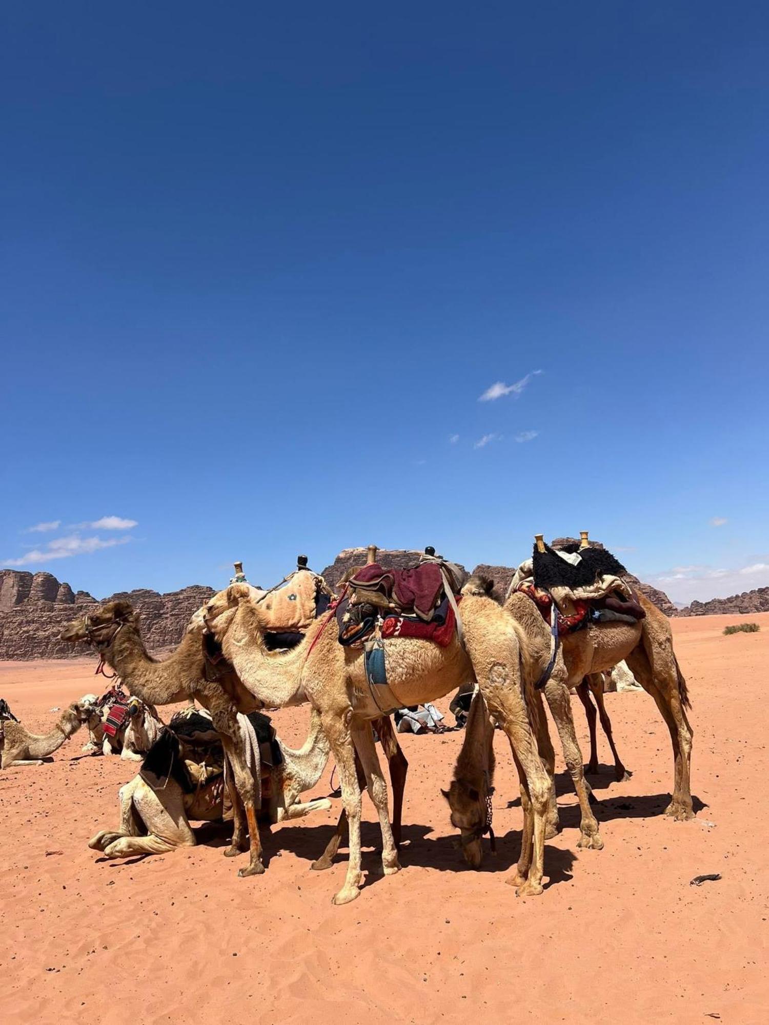 Landscape Rum Camp Wadi Rum Exterior foto